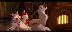 aleu aleu_(balto) balto_(film) canine collar cum dusty_(balto) female feral fur group group_sex husky jenna_(balto) looking_at_viewer male male_penetrating mammal nomad_genesis open_mouth orgasm orgy sex star_(balto) straight tongue tongue_out vaginal_penetration wolf