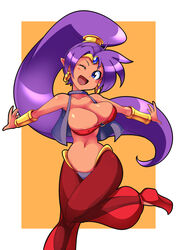 absurd_res blue_eyes bra breasts circlet cleavage female female_only large_breasts navel ponytail purple_hair ryoi ryoimaru shantae shantae_(character) smooth_fur solo standing tied_hair wink