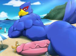 anthro avian beach bird canine croiyan erection falco_lombardi fox_mccloud group hi_res lying macro male male_only mammal micro muscular muscular_male nintendo on_front penis seaside star_fox video_games wolf wolf_o'donnell yaoi