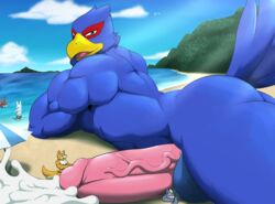 anthro avian beach bird canine croiyan cum cum_on_ground erection falco_lombardi fox_mccloud group hi_res lying macro male male_only mammal micro muscular muscular_male nintendo on_front penis seaside star_fox video_games wolf wolf_o'donnell yaoi