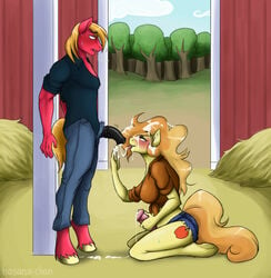 2015 animal_genitalia anthro anthrofied bailey_sweet_(mlp) big_macintosh_(mlp) blonde_hair blush braeburn_(mlp) clothing couple cum cutie_mark dickgirl dickgirl/male duo equine erection friendship_is_magic hair hasana-chan horse horsecock incest intersex intersex/male kneeling licking long_hair male mammal masturbation my_little_pony penis pony rule_63 sweat tongue tongue_out