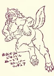 abs ass balls canine emboss0320 japanese_text looking_at_viewer male male_only mammal monochrome mooning muscular nude pecs presenting presenting_hindquarters simple_background solo text translation_request white_background wolf