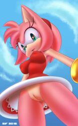 1girls 2015 amy_rose animal_ears anthro anthrofied black_nose bottomless breasts clothed clothing dress eulipotyphlan female female_only fur furaffinity going_commando green_eyes hairband hedgehog mammal multicolored_fur nipple_bulge pink_fur puffy_nipples pussy red_dress sega sif_(artist) solo sonic_(series) sonic_team sonic_the_hedgehog_(series) tan_fur thick_thighs two_tone_fur vagina video_games wide_hips