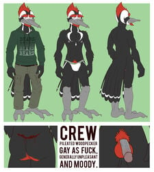 1boy anthro anti_dev avian balls bird circumcised circumcision_scar clothing crew_(anti_dev) flaccid humanoid_penis jockstrap male male_only model_sheet nipple_piercing nipples nude penis piercing solo underwear