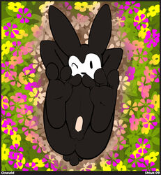 abstract_background ass balls disney feet flower hi_res lagomorph male male_only mammal nude oswald_(character) oswald_the_lucky_rabbit paws penis plant presenting rabbit reclining shiuk solo toes