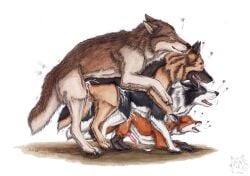 2025 anal_orgasm animal_genitalia animal_penis black_body black_fur bodily_fluids border_collie breath brown_body brown_fur canid canine canine_genitalia canine_penis canis claws collie cum cum_in_ass cum_inside cum_on_fur cumshot digitigrade dipstick_tail domestic_dog ears_back ejaculation erection feral feral_on_feral feral_penetrated feral_penetrating feral_penetrating_feral finger_claws fluffy fluffy_tail foursome fox from_behind_position fur genital_fluids genitals german_shepherd gloves_(marking) group group_sex hands-free heart_symbol herding_dog kola_(artist) leaking_cum leg_markings male male/male male_penetrated male_penetrating male_penetrating_male mammal markings mounting open_mouth orange_body orange_fur orgasm painting_(artwork) pastoral_dog penetration penis pivoted_ears quadruped red_fox sex sheepdog simple_background size_difference snout socks_(marking) tail tail_markings thrusting toe_claws tongue tongue_out true_fox watercolor_(artwork) watermark white_background white_body white_fur wolf yellow_eyes