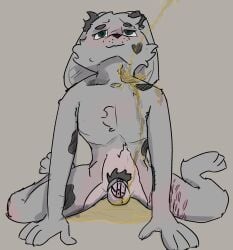 anthro blush bodily_fluids body_blush chastity_cage chastity_device chastity_device_only collarbone dark_spots fur genital_fluids grey_body grey_fur hi_res lagomorph leporid looking_up lucienne_(soft_and_wett) male mammal nude peeing peeing_on_another pubes rabbit scar self-harm_scars sitting skinny soft_and_wett solo spots spread_legs spreading tuft urine urine_on_chest urine_on_ground urine_stream watersports wearing_chastity_device