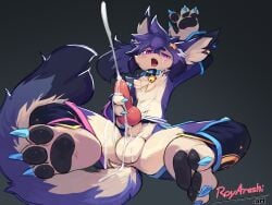 4:3 absurd_res animal_genitalia animal_penis anthro biped blue_tail canid canine canine_genitalia canine_penis canis ejaculation erection fur genitals hi_res knot kybu lying male mammal masturbation multicolored_body multicolored_fur multicolored_tail on_back open_mouth pawpads penile penile_masturbation penis pink_eyes pupils purple_body purple_fur roy_arashi sheath solo tail white_body white_fur white_tail wolf