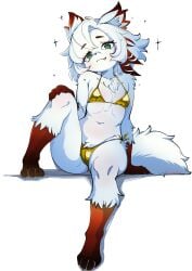 2025 4_fingers 4_toes anthro bikini bikini_bottom bikini_top biped breasts canid canine claws clothed clothed_anthro clothed_female clothing digital_media_(artwork) feet female finger_claws fingers fox front_view fur furry gold_bikini green_eyes hi_res lolobot looking_at_viewer mammal original original_character simple_background sitting small_breasts smile solo swimwear tail toe_claws toes two-piece_swimsuit white_background white_body white_fur white_hair white_tail
