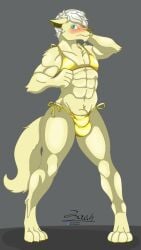abs absurd_res animal_genitalia anthro barely_visible_genitalia barely_visible_sheath bikini bikini_bottom bikini_thong bikini_top bird_dog blonde_hair blush blushing_profusely bulge canid canine canis chin_tuft clothed clothing crossdressing domestic_dog embarrassed facial_tuft full-length_portrait fur furry genitals golden_retriever golden_week great_dane green_eyes hair hi_res hunting_dog male mammal mastiff meme meme_clothing mixed_breed molosser muscular muscular_anthro muscular_male navel pawpads paws pecs portrait retriever sheath sheath_peek skimpy solo spread_legs spreading stanley_(zer0rebel4) swimwear tight_clothing tuft two-piece_swimsuit yellow_body yellow_fur zer0rebel4