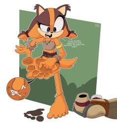 5_toes absurd_res anthro badger barefoot blue_eyes burtreex clothed clothing dirty dirty_feet extreme_size_difference feet female foot_fetish footprint footwear hi_res humanoid_feet mammal micro mustelid musteline orange_body plantigrade sega shoes shoes_removed size_difference soles sonic_(series) sonic_boom sonic_the_hedgehog_(series) sticks_the_badger sticks_the_jungle_badger text toes