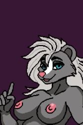 2:3 animal_genitalia animal_penis animated anthro ball_bulge balls blue_eyes bodily_fluids bottomwear breasts canine_genitalia canine_penis clothing finger_wag futanari genital_fluids genitals gesture gynomorph hair hand_gesture intersex knot long_hair low_res mammal mephitid penis pointing pointing_at_self precum sassy sheath short_playtime shorts skunk solo wallcroft666