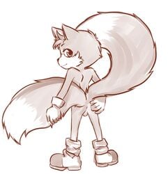 1boy anthro anus aogami ass backsack balls canine fox fox_tail fur furry_tail looking_at_viewer looking_back male male_only mammal multiple_tails presenting presenting_hindquarters simple_background solo sonic_(series) tail tails tycloud young