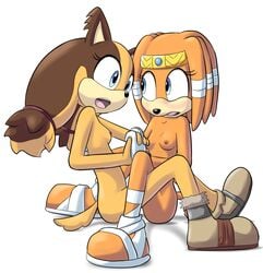 2015 anthro blue_eyes blush breasts brown_fur brown_hair clothing duo echidna female footwear fur goshaag hair hand_holding hi_res jungle_badger mammal monotreme nipples nude open_mouth sex shoes simple_background sonic_(series) sonic_boom sticks_the_badger sticks_the_jungle_badger sticks_the_tejon tikal_the_echidna tribadism white_background yuri