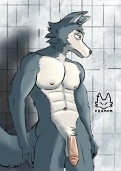 abs absurd_res anthro balls beastars biceps canid canine canis claws flaccid fur genitals hi_res humanoid_genitalia humanoid_penis legoshi_(beastars) male male_anthro mammal multicolored_body multicolored_fur muscular muscular_anthro muscular_male nipples penis solo tail two_tone_body two_tone_fur wolf xzenonart