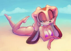 1girls ass beach bikini breasts cleavage cream_the_rabbit female female_focus female_only nitro sega sonic_(series) sonic_the_hedgehog_(series) thong