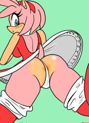 amy rose from sega
