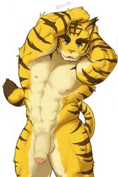 blue_eyes bulge clothing feline flaccid fur humanoid_penis looking_at_viewer male_only mammal morenatsu muscular nun6 partially_retracted_foreskin penis simple_background speedo standing swimsuit tiger torahiko_(morenatsu) uncut yellow_fur