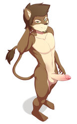 1boy anthro balls erection feline hi_res lion liontaro looking_up male male_only mammal nude penis sco0t simple_background solo uncut white_background