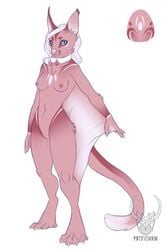 breasts cute egg feline female hybrid nude pink space_rox sugar_glider white_background