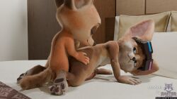 16:9 3_toes 3d_(artwork) 4_fingers absurd_res anal anal_sex animal_genitalia anthro anus bed bedroom bedroom_eyes black_nose blue_eyes canid canine canine_genitalia chip_(mlbb) claws closed_eyes countershading crossover digital_media_(artwork) disney duo english_text erection feet fennec_fox fingers finnick_(zootopia) fox furniture genitals hi_res huge_filesize kneeling knot looking_at_another looking_at_partner male male/male mammal mobile_legends narrowed_eyes nude pawpads paws penetration penis pillow pink_penis rasterraccoon rear_view seductive size_difference smaller_male smile standing tan_body text toes true_fox watermark widescreen zootopia