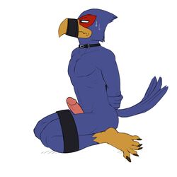 1boy anthro avian bird bound erection falco_lombardi hi_res hicanyoumooforme male male_only nintendo penis solo star_fox video_games