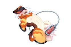 anatom animal_genitalia animal_penis anthro ball_tuft balls balls_blush big_balls black_body black_fur blindfold blush bodily_fluids body_blush bondage breath brown_body brown_fur brown_markings butter_(butternotincluded) churn churning churning_balls constrained domestic_ferret drooling fangs felid feline feline_genitalia feline_penis fluffy fur genital_fluids genitals hands_behind_back huge_balls machine male mammal markings milking_machine milking_machine_on_male mustelid musteline onomatopoeia open_mouth orange_body orange_fur orange_markings panting penile penile_spines penis penis_milking retracted_balls saliva solo sound_effects splurt spread_legs spreading stuck stuck_penis suction suction_device tail teeth text thin_tail thrusting true_musteline tube tuft vibrating weasel white_body white_fur white_markings yellow_body yellow_fur yellow_markings