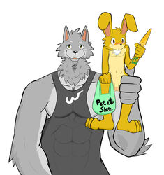 anthro barefoot big_ears blush clothing embarrassed flaccid front_view grey_wolf lagomorph lifted male_only mammal muscular nude on_shoulder original original_character penis pet rabbit shirt size_difference tank_top whiteleo