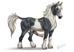 2025 animal_genitalia balls blue_eyes dated equid equine erection feral fur genitals glistening glistening_eyes grey_body grey_fur hi_res looking_at_viewer male male_feral mammal mane mouth_closed penis pink_penis rufciu sheath side_view signature simple_background solo tail tail_tuft tuft white_background white_balls white_body white_fur white_mane white_sheath