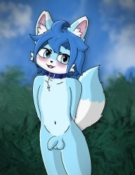 anthro balls black_nose blue_body blue_ears blue_eyes blue_fur blue_hair blush blush_lines canid canine collar cub cute_fangs exhibitionism fangs flaccid fluffy fluffy_chest foreskin fox fur genitals hair hands_behind_back happy hi_res inner_ear_fluff kemono male male_cub male_only mammal mikey_(mikey_fox) mikey_(mofumofumikey) navel nude open_mouth penis public public_nudity shy smile solo teeth tight_foreskin tuft uncircumcised
