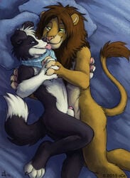 2015 amara_telgemeier bed black_fur brown_hair canine collie feline fur hair hug interspecies licking lion lying male mammal on_side penis penis_tip scarf sheath tongue tongue_out white_fur yaoi