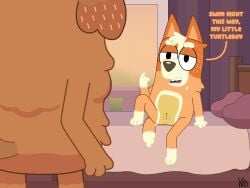 absurd_res aged_up anthro anus australian_cattle_dog beckoning bed bedroom bedroom_eyes belly bingo_heeler bird_dog black_eyes bluey_(series) brown_body brown_ears brown_fur brown_nose canid canine canis cattledog cavalier_king_charles_spaniel cavapoo dialogue domestic_dog dougie_(bluey) duo eye_contact female fingers fluffy fluffy_body front_view fur furniture genitals gesture greying_hair hair hand_gesture herding_dog hi_res hunting_dog imminent_sex intraspecies leg_markings looking_at_another male male/female mammal markings mixed_breed multicolored_body multicolored_fur narrowed_eyes on_bed open_mouth open_smile orange_body orange_ears orange_fur orange_hair pastoral_dog poodle pussy seductive sitting sitting_on_bed smile smiling_at_another smiling_at_partner socks_(marking) spaniel spread_legs spreading standing teasing teeth tongue toy_dog vulva y_anus yellow_belly