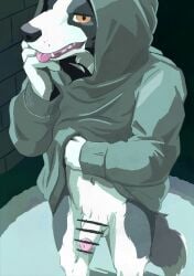 animal_genitalia animal_penis anthro balls black_nose border_collie bottomless canid canine canine_genitalia canine_penis canis censored clothed clothing collie digital_media_(artwork) domestic_dog fangs fur genitals herding_dog hi_res hoodie hot_dog_wolf knot looking_at_viewer male mammal navel pastoral_dog penis sheath sheepdog simple_background solo standing tail teeth tongue tongue_out topwear white_body white_fur
