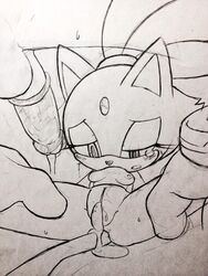 blaze_the_cat breasts cum cum_inside feline mammal ohyuki penis pussy silver_the_hedgehog sonic_(series)