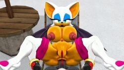 1boy 1girls anal anal_sex anthro female male mikumikudance mmd nude rouge_the_bat sega shadow_the_hedgehog silverteam2017 sonic_(series) sonic_the_hedgehog_(series)