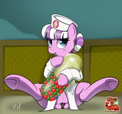 2015 christmas earth_pony equine female feral friendship_is_magic hi_res holidays horse mammal my_little_pony nurse_sweetheart_(mlp) pony ponyhospital pussy