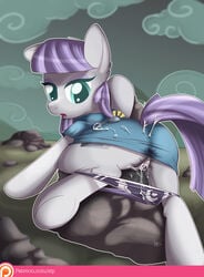 ass boulder_(mlp) cum earth_pony equine female feral friendship_is_magic hi_res horse mammal maud_pie maud_pie_(mlp) my_little_pony panties pony pussy rock sip_i.a. underwear