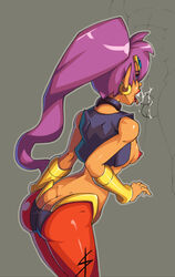 ass breasts butt_crack cum cum_in_mouth cum_inside earrings fellatio female nipples oral penis pointy_ears ponytail purple_hair shantae shantae_(character) sismicious smooth_fur standing tied_hair