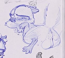 1boy anthro ass balls blush blushing dreamworks dreamworks_animation male male_only mammal over_the_hedge paramount_pictures procyonid raccoon ram_satinga rj_(over_the_hedge) sketch tail