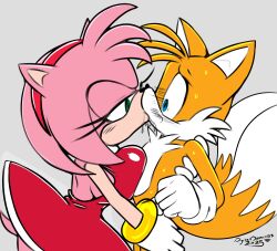 amy rose from sega by digitaldomain123
