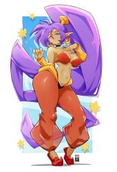 shantae (character) from shantae by bayeuxman