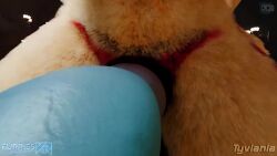 3d 4:3 aeva_risis anthro beating_the_heat blowjob bovid bovine caressing charming_remedy comic furries furriesvr furry futanari hentai herm hi_res hyena intersex jinsariakhavra mammal oral pov tagme tyviania video vr