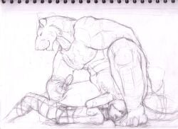 anthro balls balls_on_face big_balls big_penis bound crouching dominant dominant_anthro duo erection feet felid forced fur genitals human human_on_anthro interspecies jeri_kleinlowe male male/male mammal navel nipples nude pantherine penis rape sex simple_background size_difference smile tea_bagging tiger traditional_media_(artwork) white_background