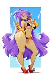 shantae (character) from shantae by bayeuxman