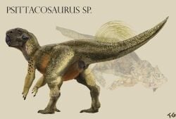ambiguous_gender animal_genitalia beak biped brown_body brown_scales ceratopsian cheek_spikes claws cloaca dinosaur english_text facial_spikes feathers feral fossil genitals looking_back orange_body orange_scales ornithischian prehistoric_species psittacosaurus quills_(anatomy) reptile scales scalie signature simple_background solo species_name spikes spikes_(anatomy) tan_body tan_scales tessasaurus_rex text