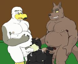 anthro avian balls bear bird black_bear fellatio group group_sex gunnar's_dad joejim33 kangaroo male mammal marsupial oral penis seagull sex slightly_chubby threesome wilson_(brogulls) yaoi