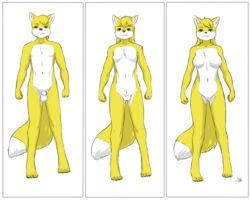 2015 animal_genitalia anthro aogami big_breasts breasts canine canine_penis digitigrade female fox gender_transformation hi_res male mammal miles_yellow mileymouse mtf_transformation nude penis pussy rule_63 sheath small_breasts transformation