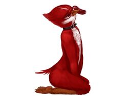 2015 anonymous_artist anthro avian avian_(starbound) beak bird brown_eyes chest_tuft collar cum cum_on_face disembodied_penis erection feathers fur hi_res maladash male male_only nude penis red_feathers simple_background smile starbound submissive talons tuft video_games white_feathers