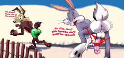 anus ass balls bugs_bunny canid clothing coyote dunes duo fence humanoid_penis interspecies lagomorph long_ears long_penis looking_at_viewer looking_back looney_tunes male male_only mammal mreiof_(artist) penis penis_out presenting_anus puckered_anus rabbit race running shorts_pull smooth_fur speedo swimsuit tail tight_clothing undressing warner_brothers wile_e._coyote