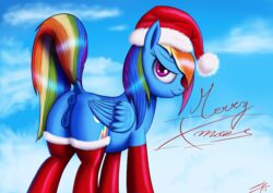 2015 anatomically_correct anatomically_correct_pussy animal_genitalia anus ass christmas clothed clothing cloud cloudscape cutie_mark dock equine equine_pussy feathered_wings feathers female feral friendship_is_magic hair hat hi_res holidays jeki legwear looking_at_viewer mammal multicolored_hair my_little_pony pegasus pussy rainbow_dash_(mlp) rainbow_hair raised_tail santa_hat sky smile solo wings